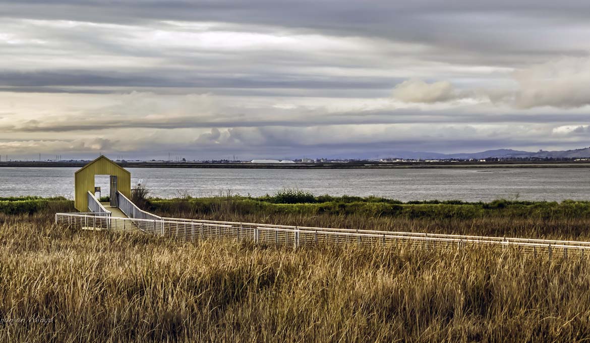 Aliviso_Wetlands